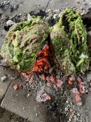 Cooking Directly On Embers Fire Ferment And Smoke Cooking Directly On Embers Fire Ferment And Smoke